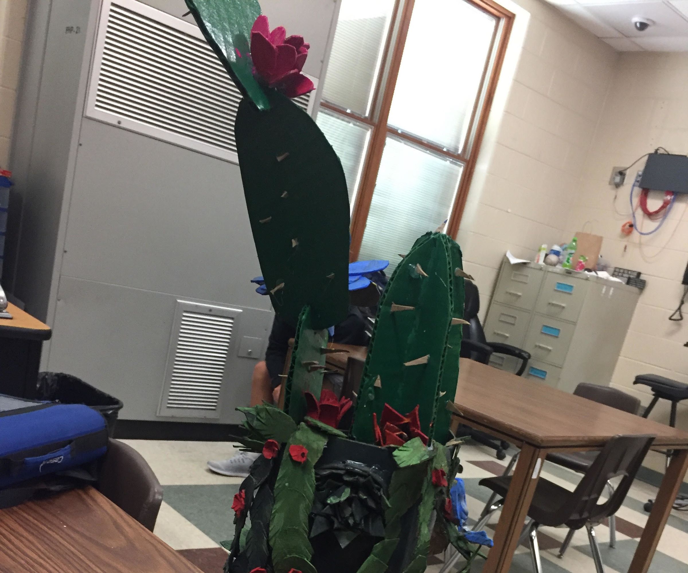 Cardboard Cactus Garden 
