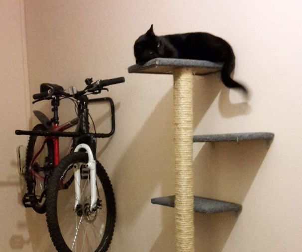 DIY Cat Tree.