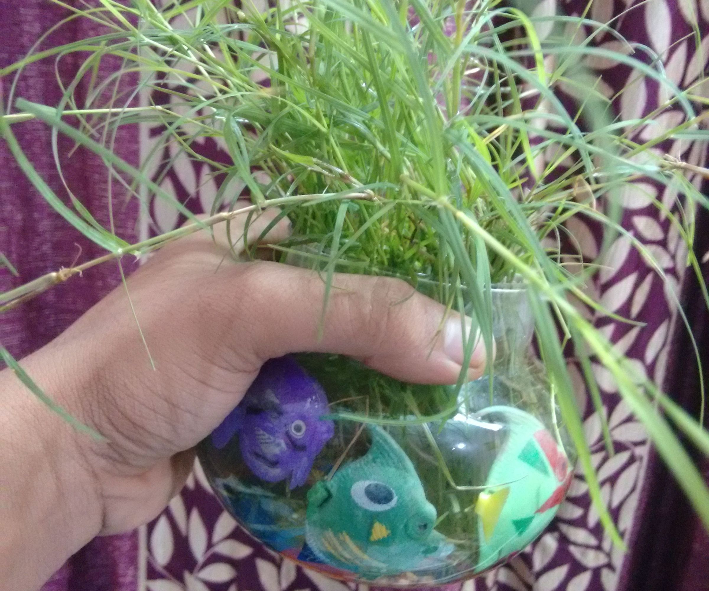  Indoor Gardning With Colourful Artifacts and Pebbles