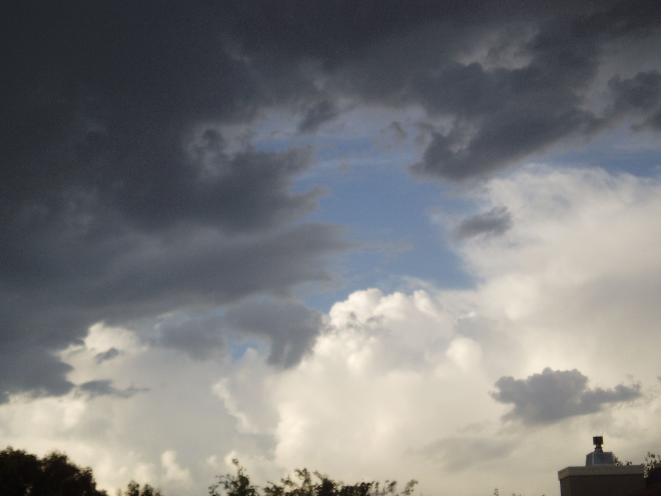 The Best Way to Spend Saturday Morning