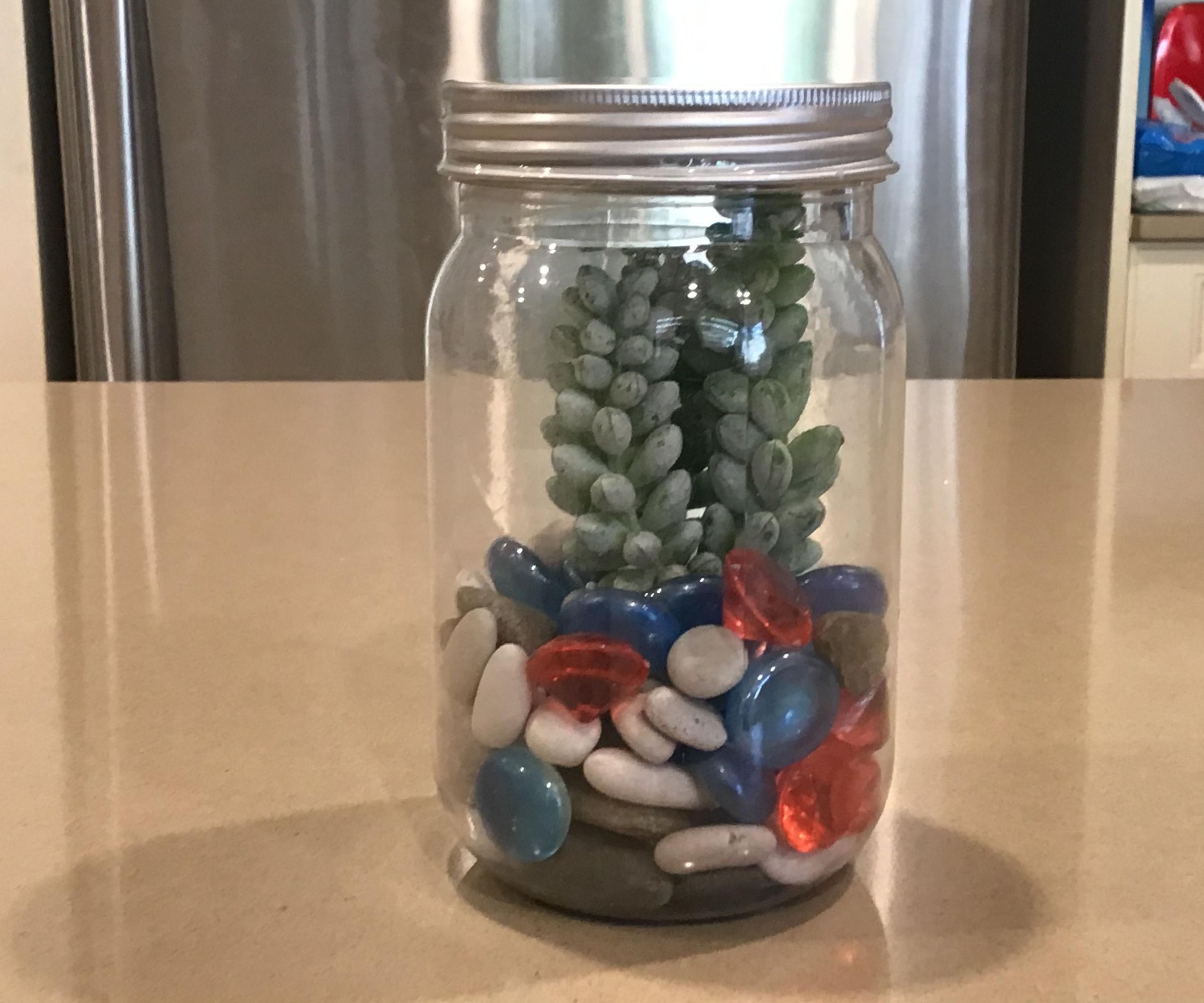 Super Easy DIY Mason Jar Terrarium