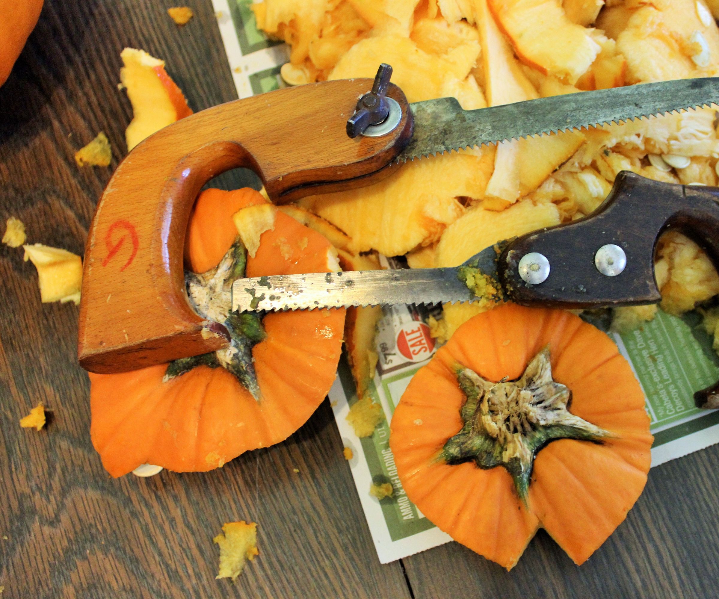 Pumpkin Carving Saws
