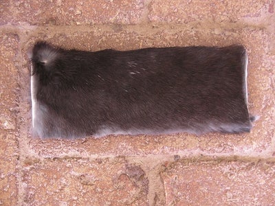 Ankle Warmer