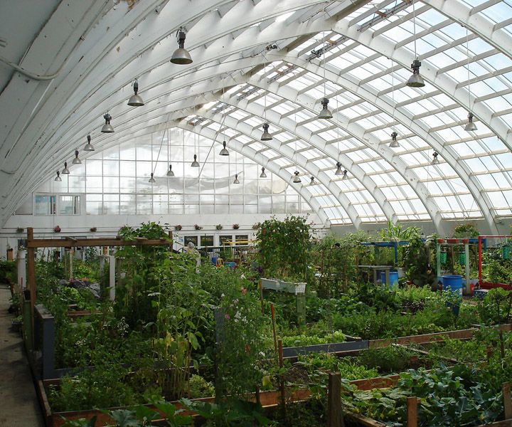 How to Set Up a New Greenhouse