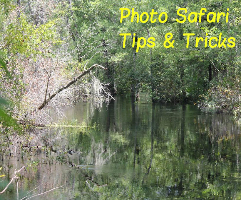 Photo Safari Tricks & Tips