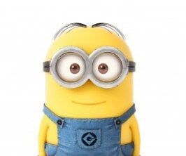 Minion Upcycling 