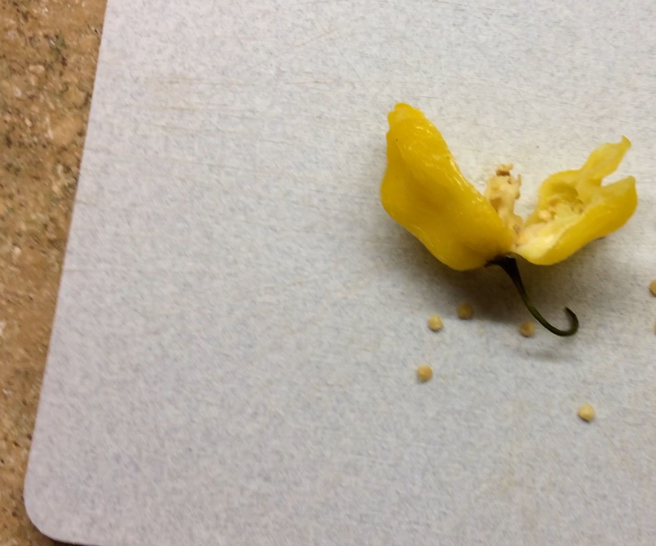 Experiment: Can You Germinate Seeds From a Frozen Pepper?