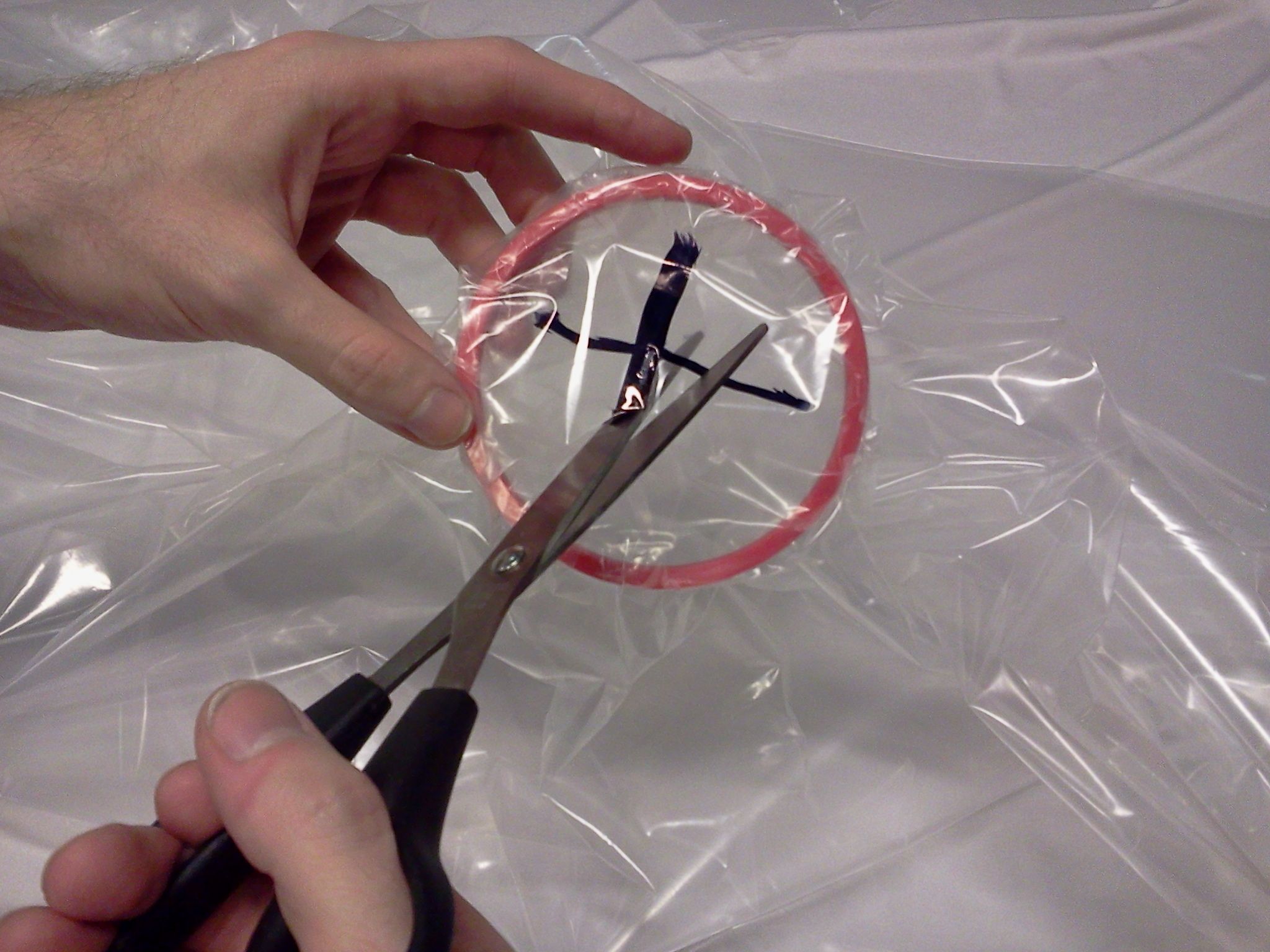 Ozonated Sterile Glove Bag for DIY Chemistry and Biology (with Pictures