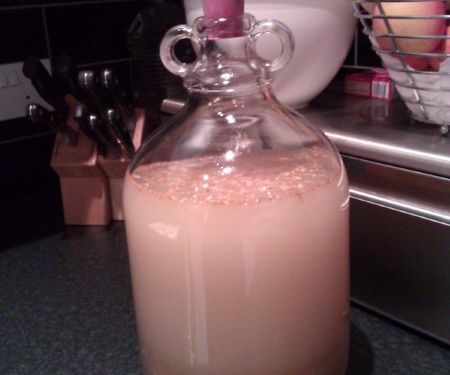 Strong Homebrew Ginger Beer