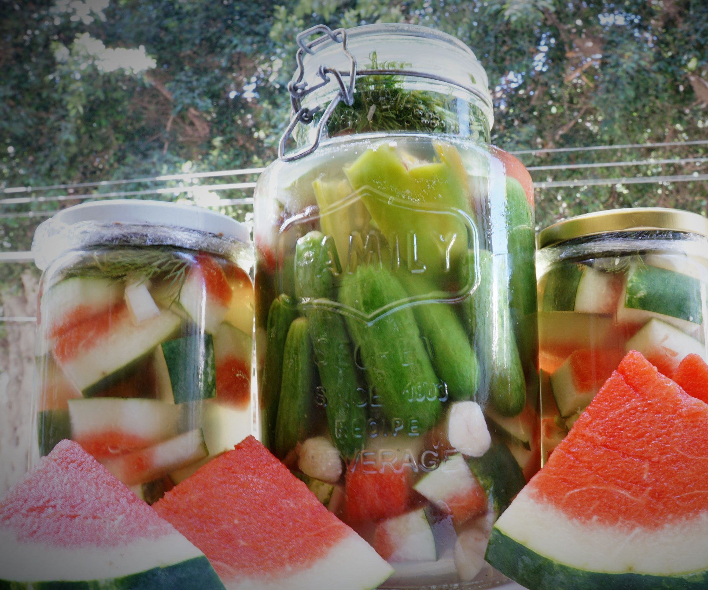 Fermented Watermelon Rind Pickles