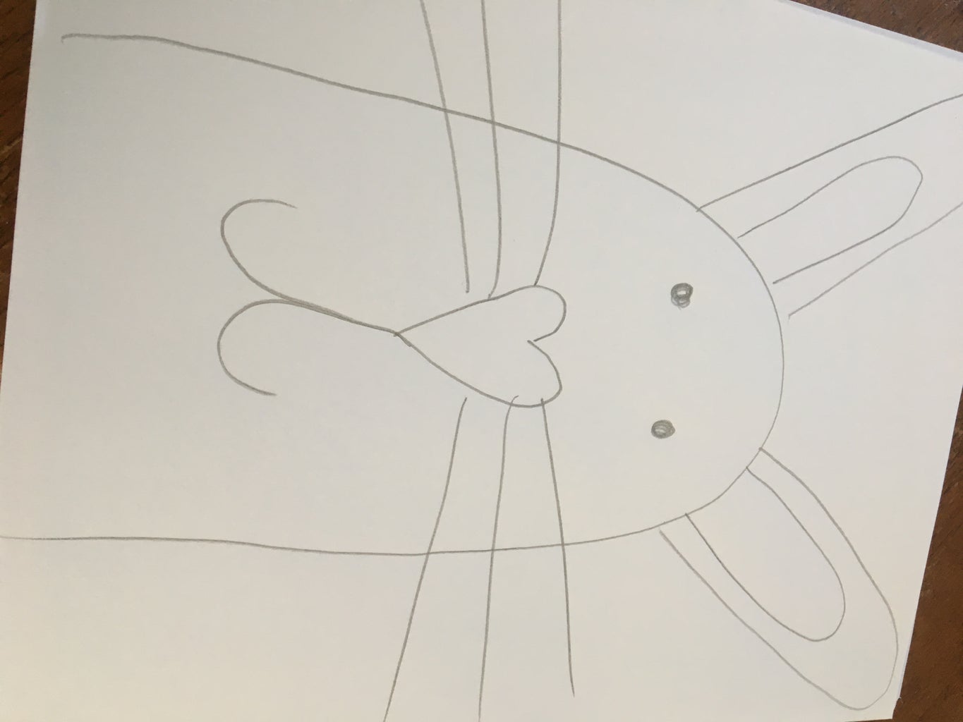 Easter Bunny Portrait - Directed Drawing for Kids : 6 Steps - Instructables