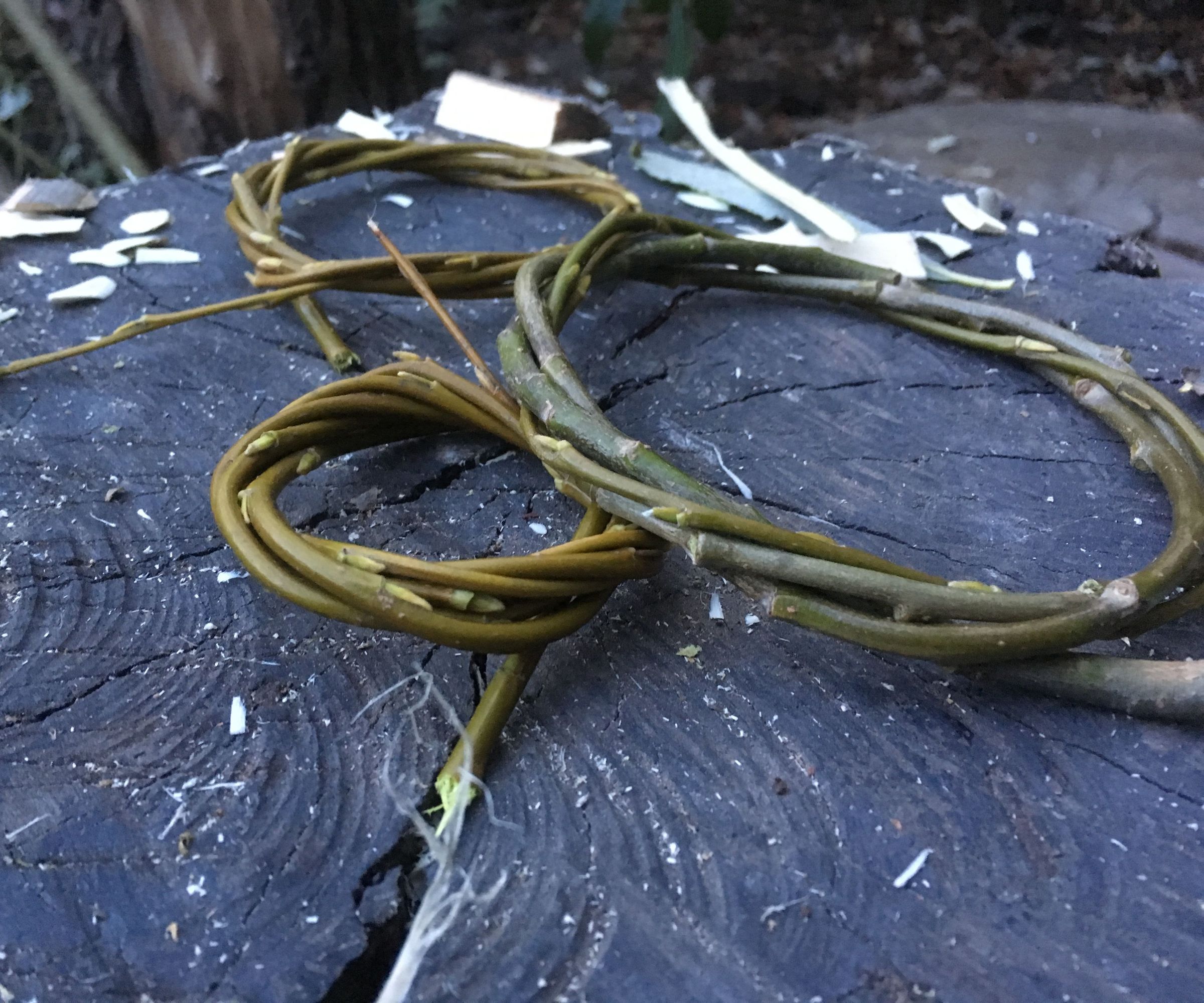5 Super-easy Branch Carving Projects
