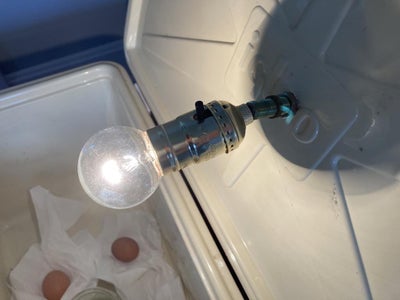 Using the Incubator