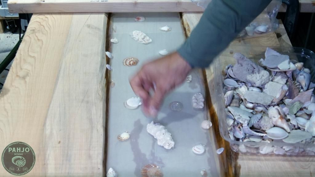 How to Set Seashells in Resin : 10 Steps (with Pictures) - Instructables