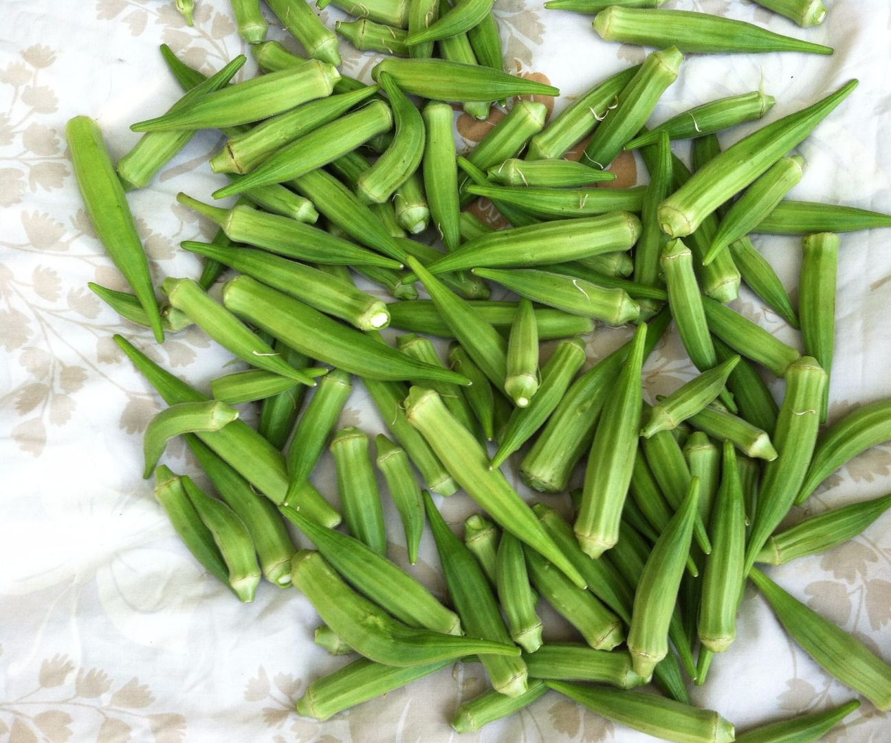 Fried Okra; Picking, Preparing & Freezing