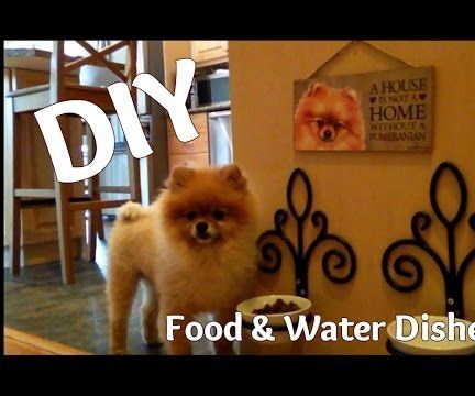Make a Pet Feeding Station