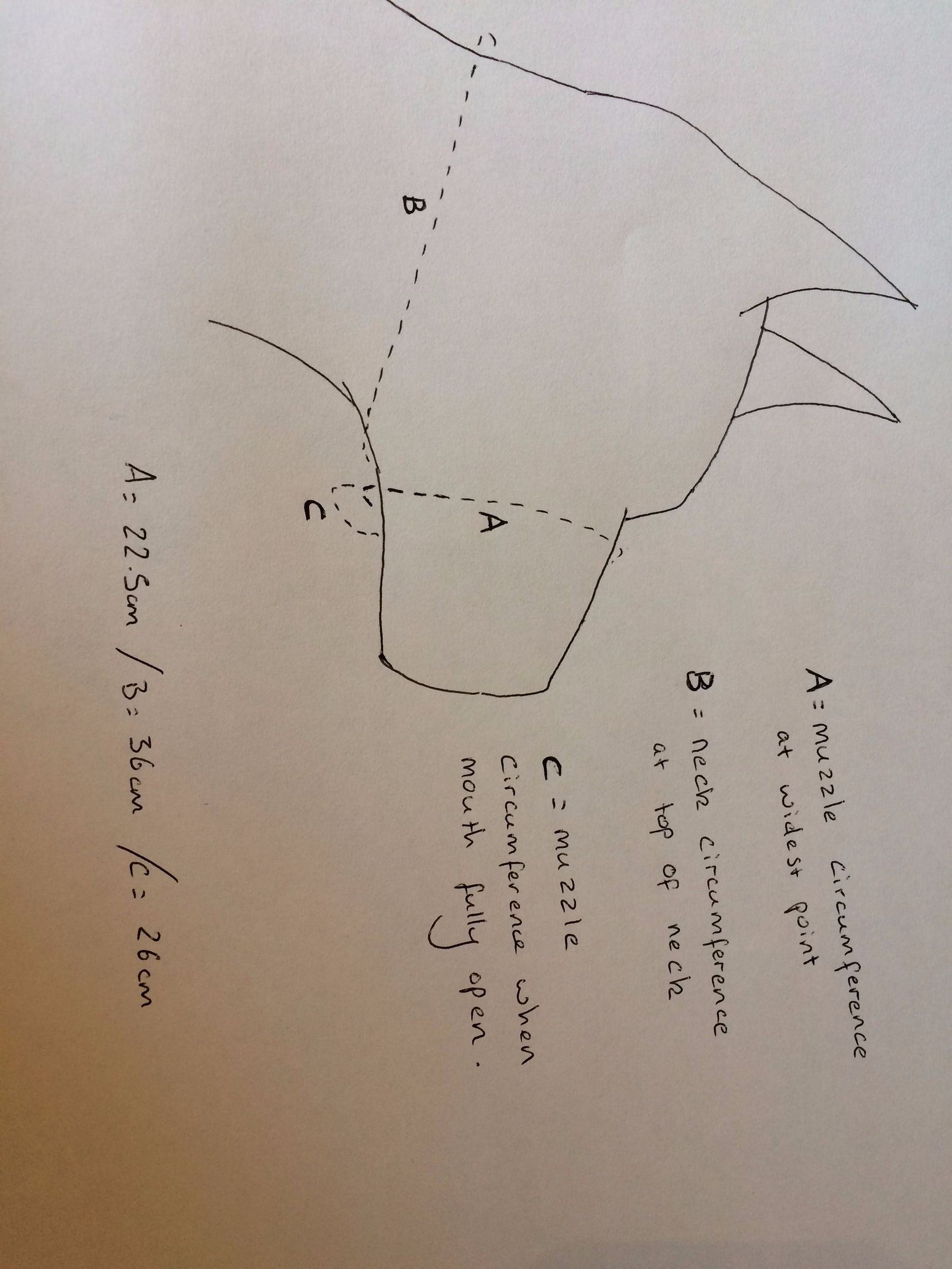 Head Halter for Dogs 6 Steps (with Pictures) Instructables