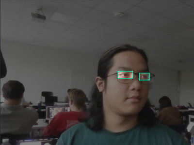 Collecting and Labeling Eye Dataset