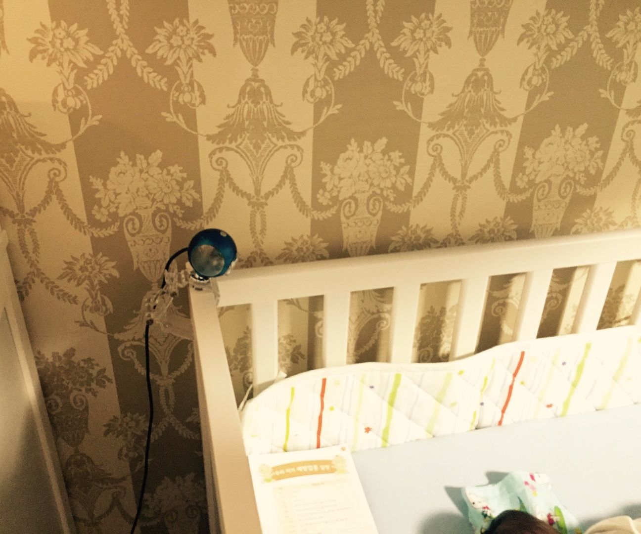 Easy DIY Baby Crying Detector With Raspberry Pi