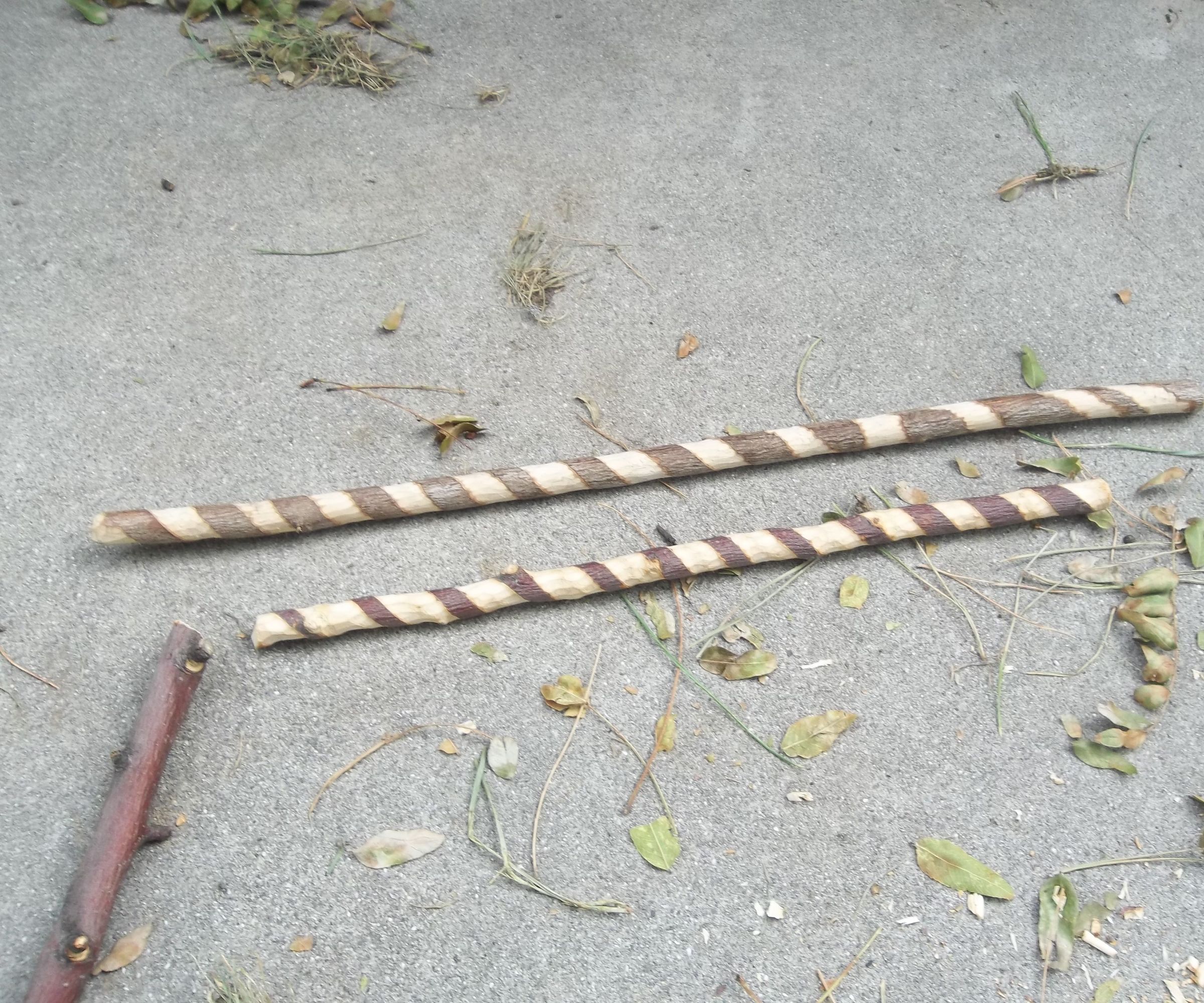 Introduction to Stick Carving