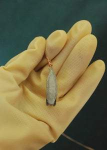 Electroforming an Iris Seed Pod