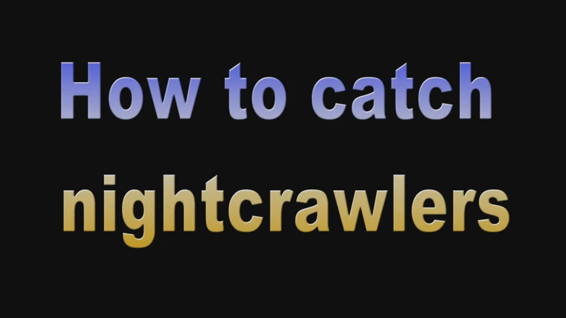 How to Catch a Nightcrawler