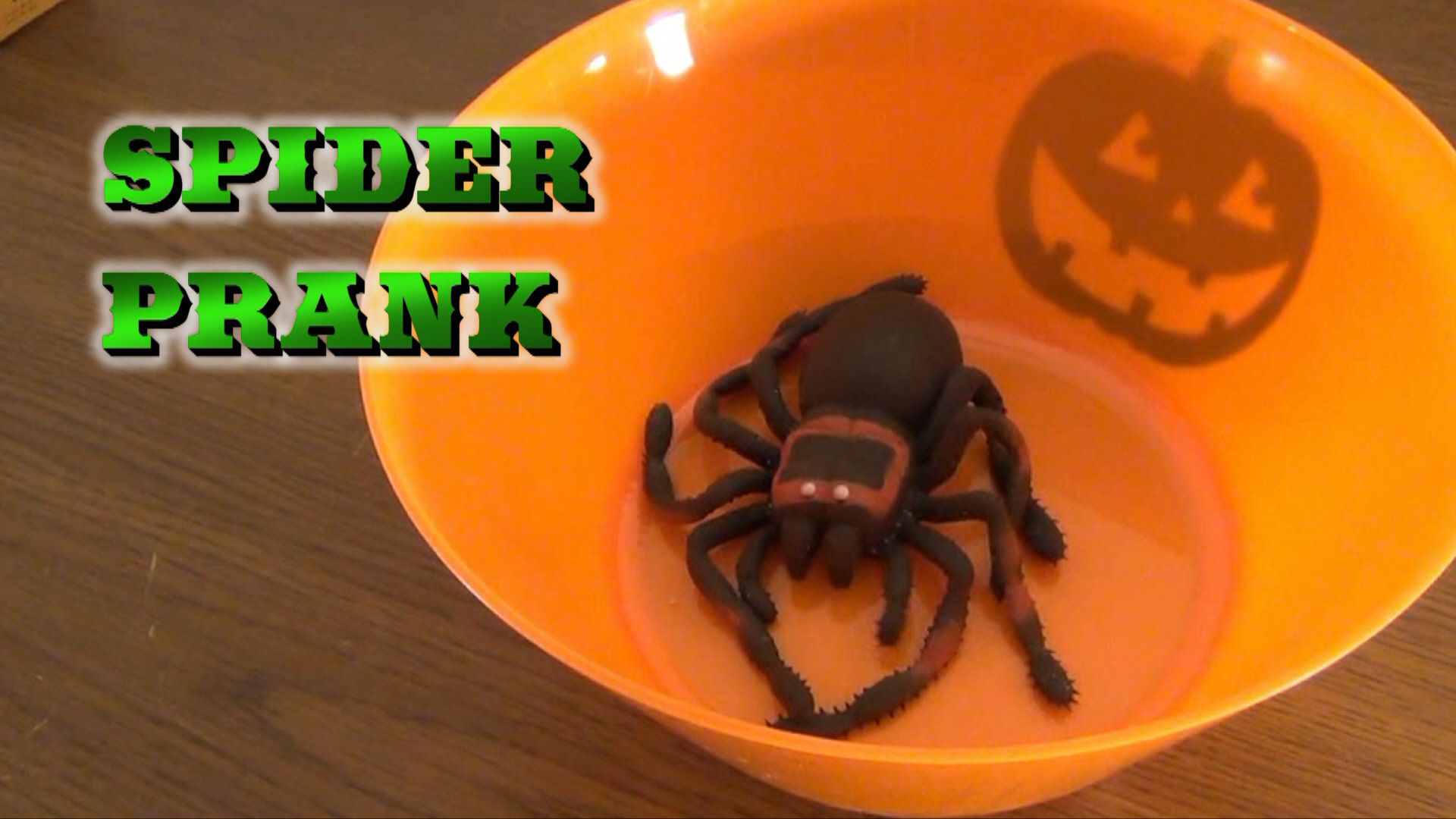 The Scary Spider Prank!
