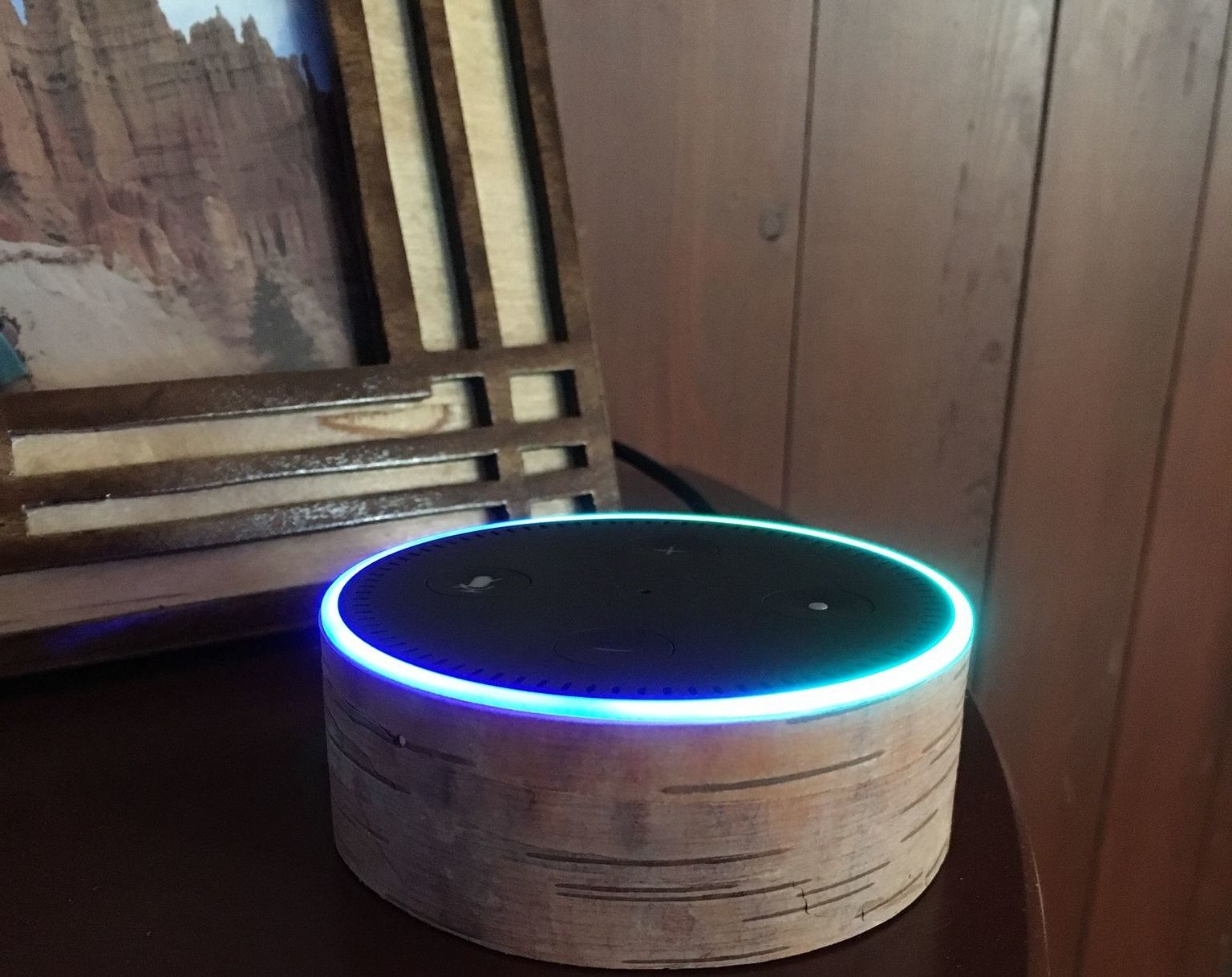 Birch Bark Custom Wrap for Amazon Echo Dot