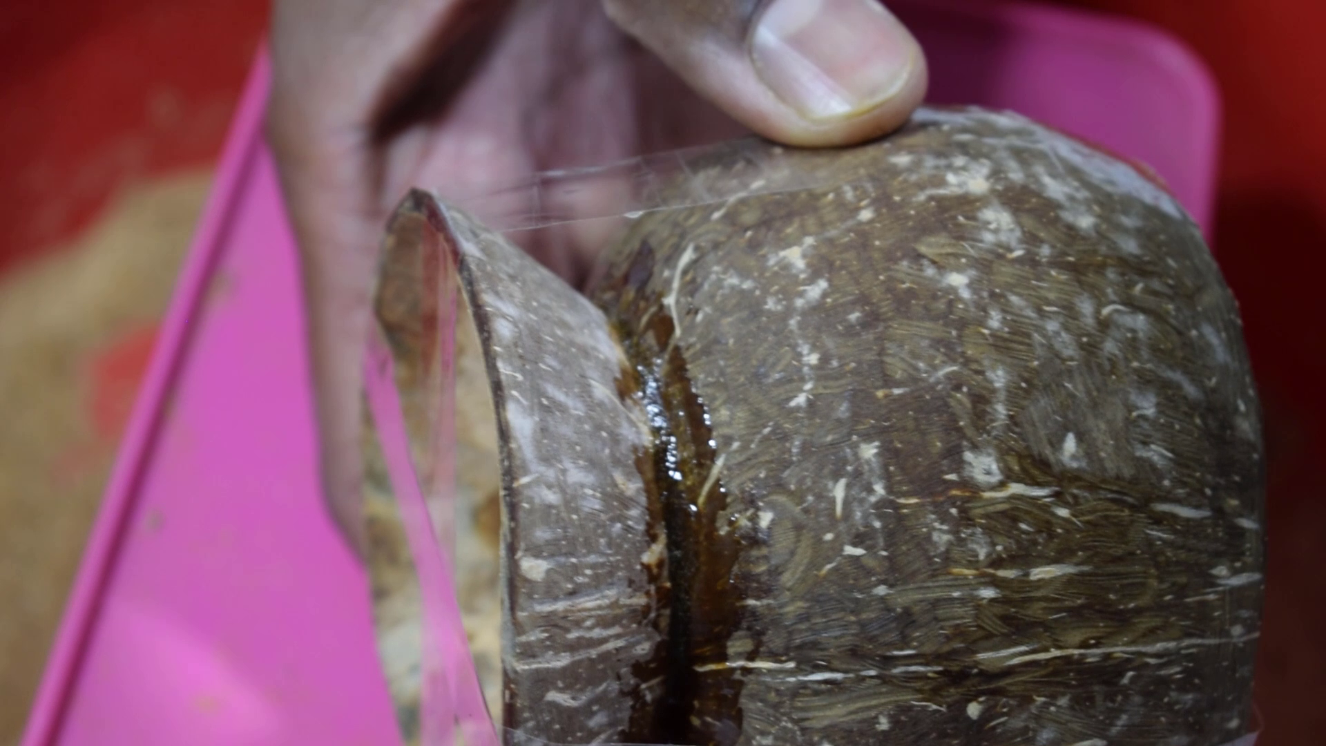 How to Make Cup From Coconut - DIY Coconut Cup : 11 Steps - Instructables