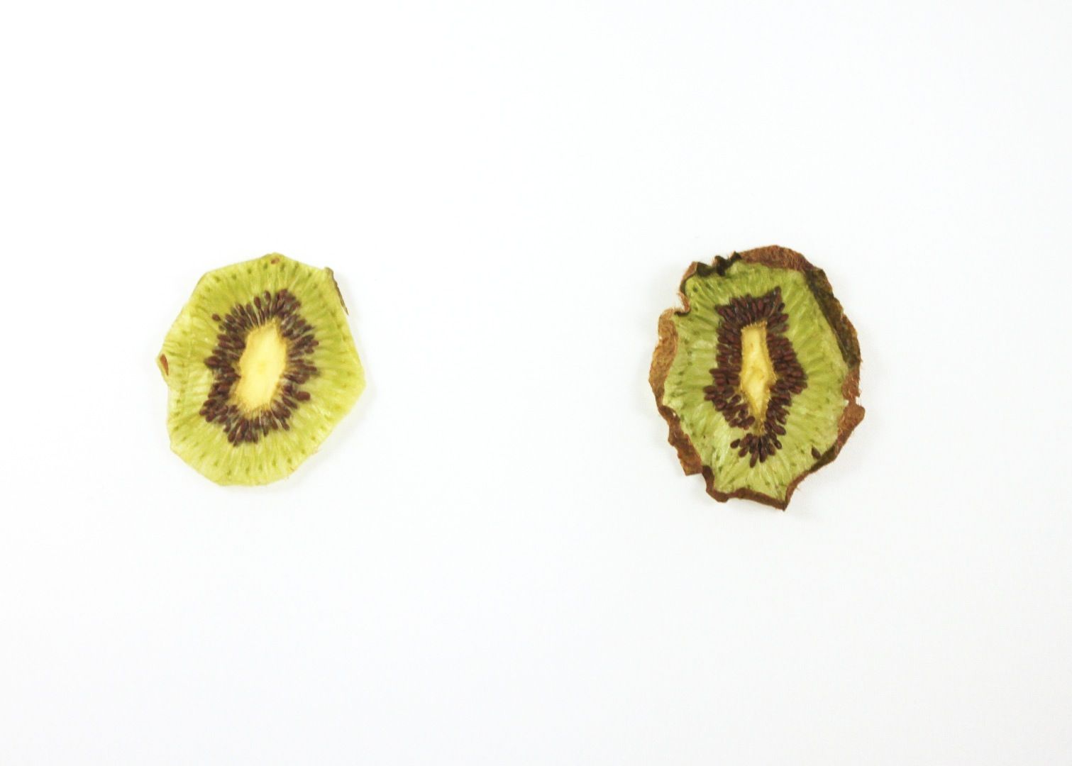 Dehydrated Fruit Resin Jewelry 10 Steps (with Pictures) Instructables