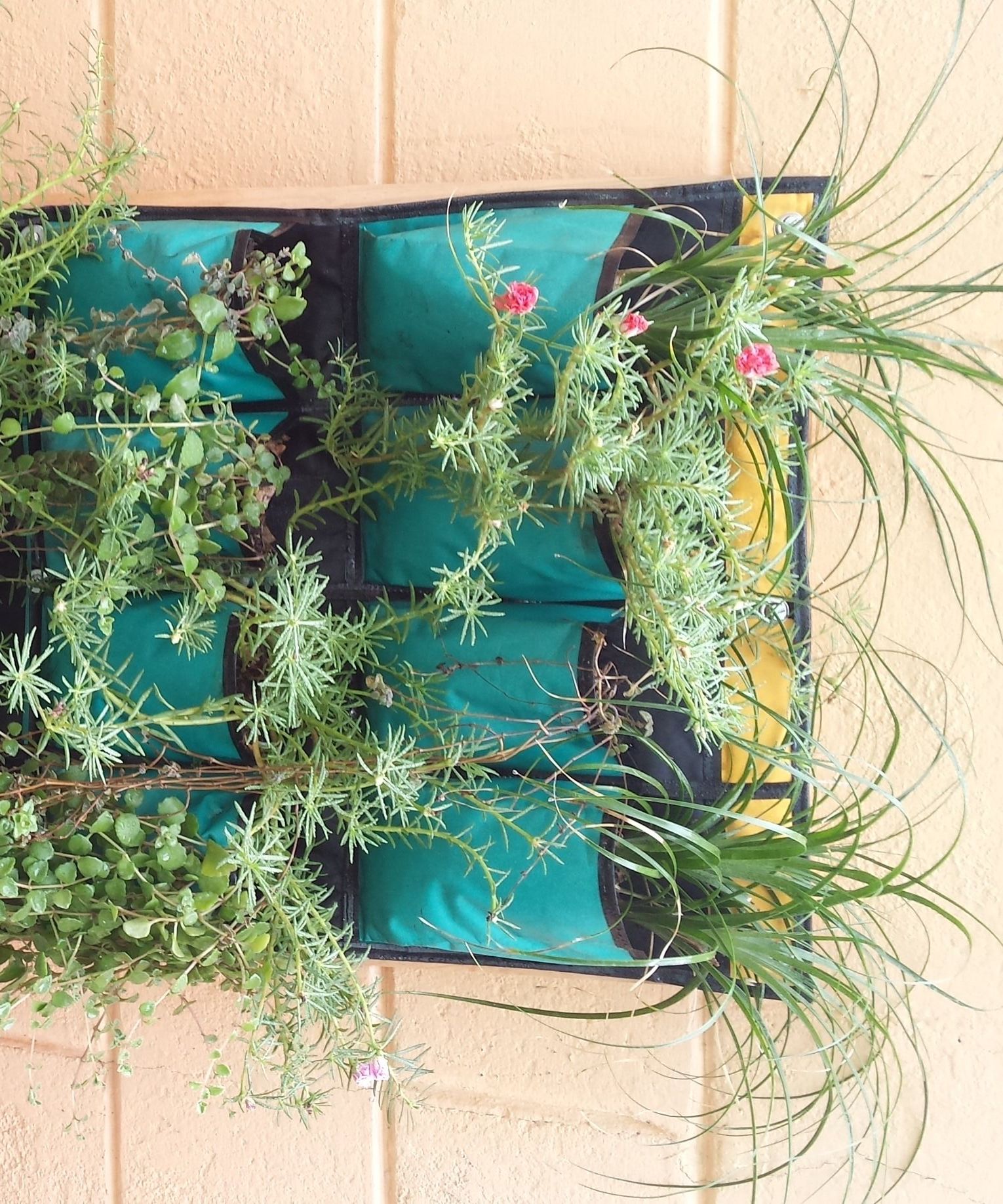 Vertical Garden 101