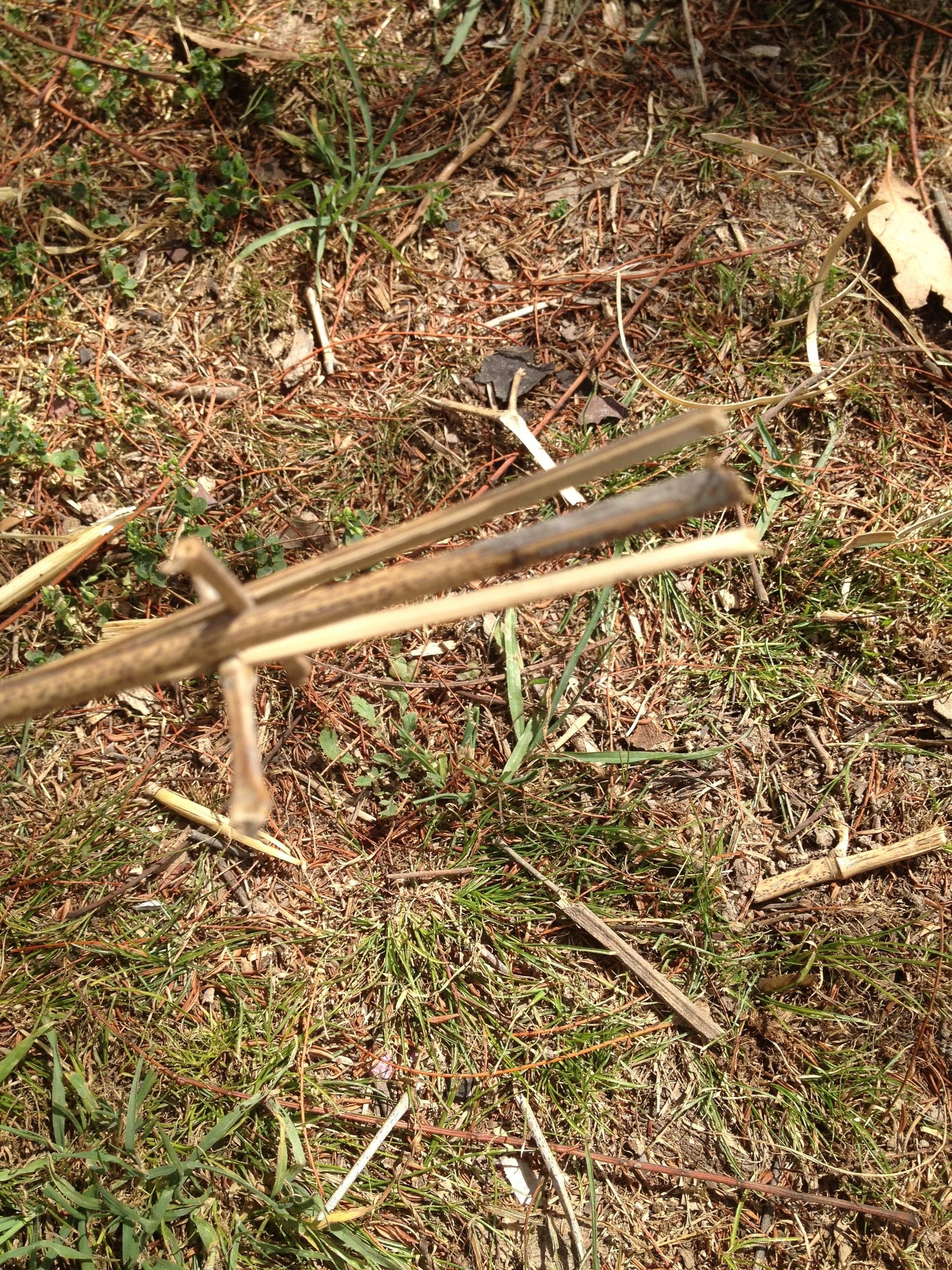 Spear/ Arrow