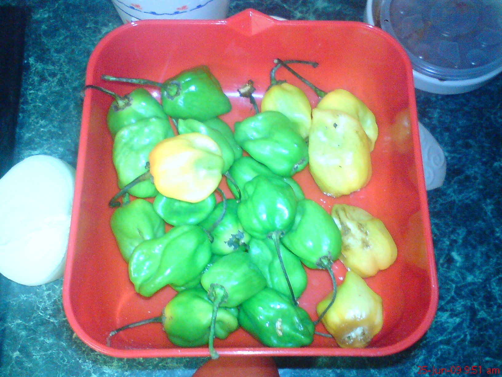 How to Make a Hot Habanero Chili Sauce Mexican Style (devil Recipe) 4