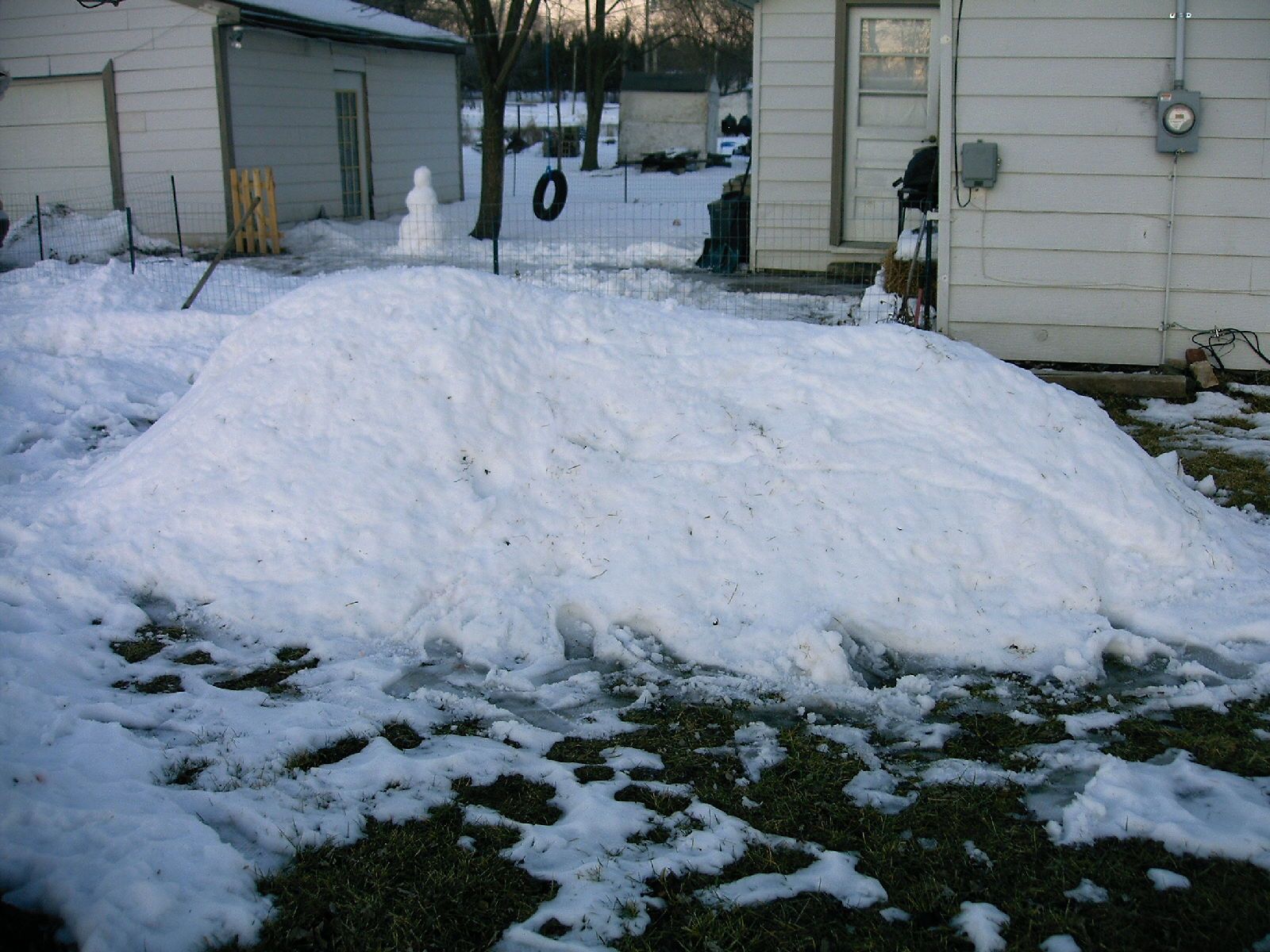 Snow Dragon