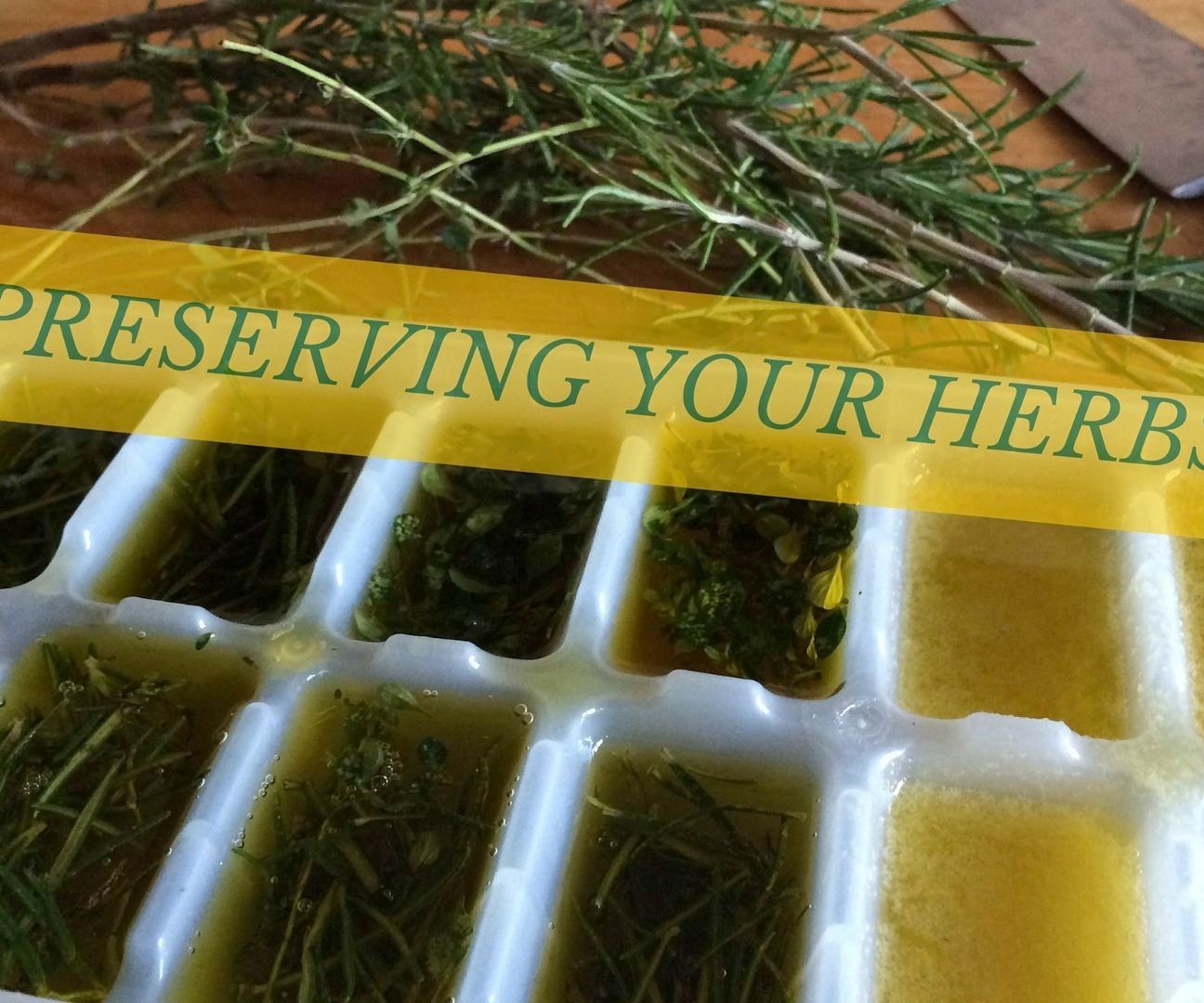 Preserving Herbs - in Olive Oil