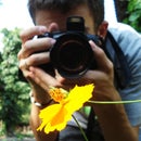 Photography-the guide to great photos