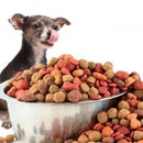 Google Assistant Powered Pet Feeder