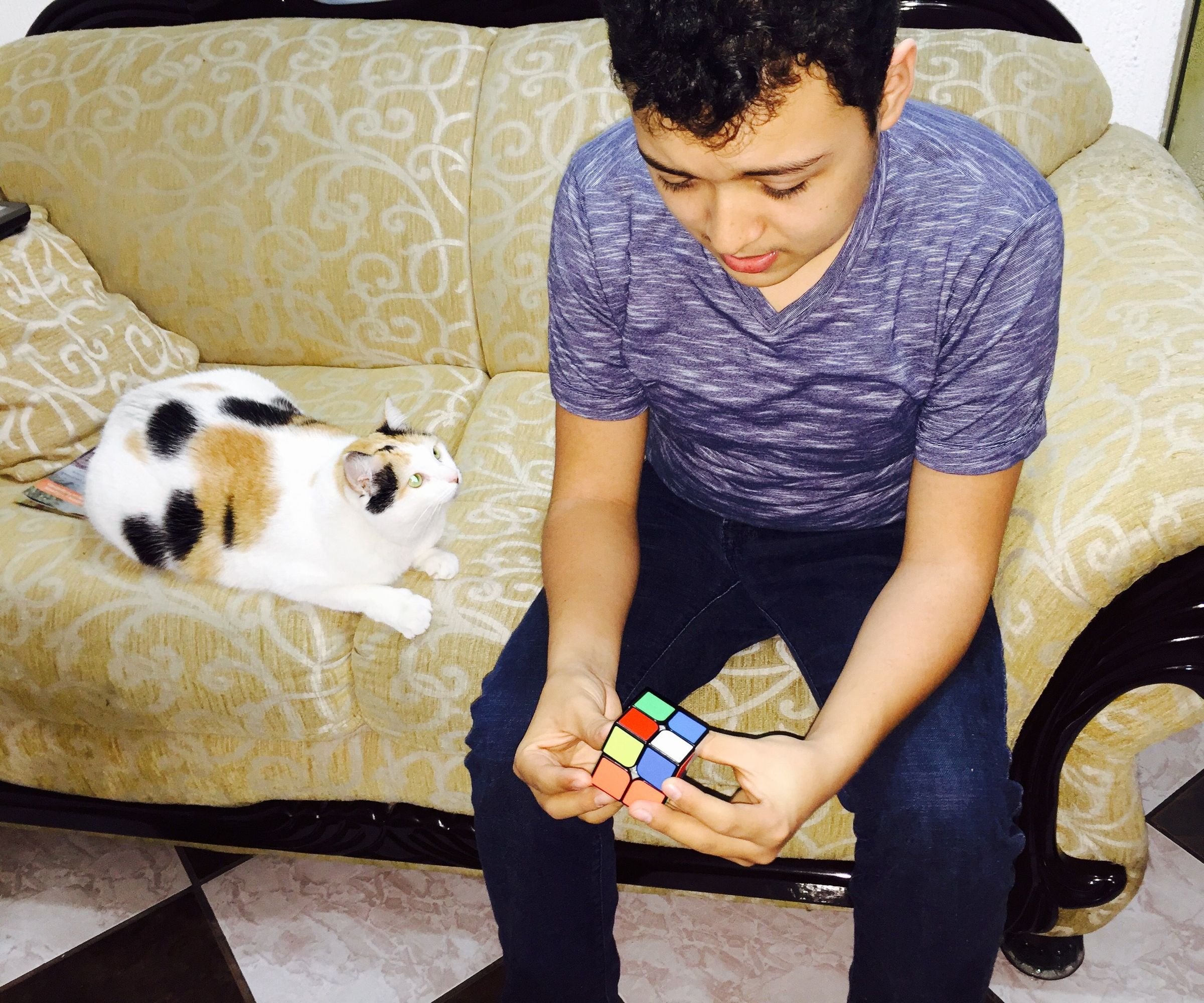 Solving a Pocket/Mini Cube (2x2x2).