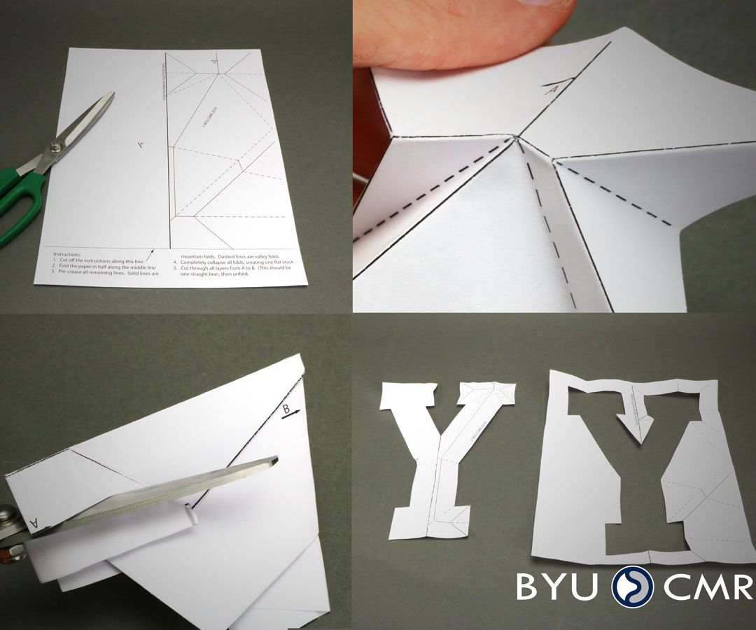 One Cut "Y"