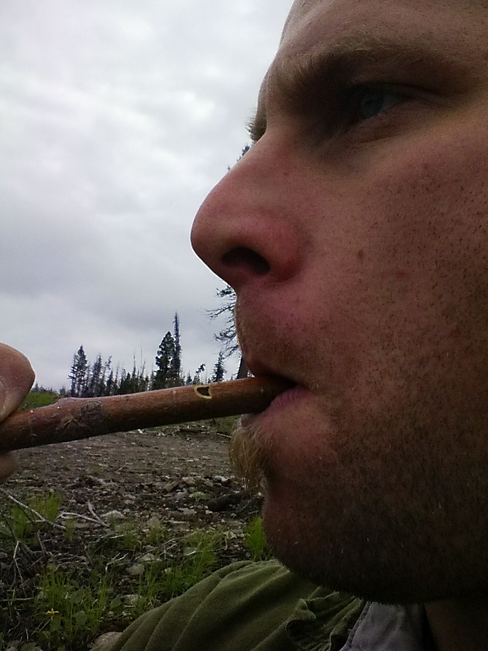 Stick Bark Whistle 10 Steps (with Pictures) Instructables