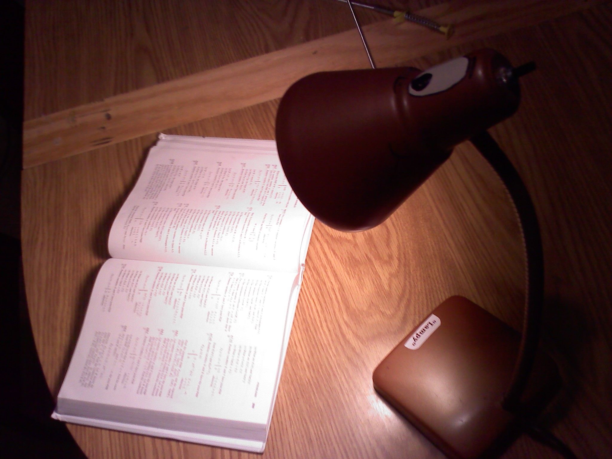 LAMPY GOES TO COLLEGE