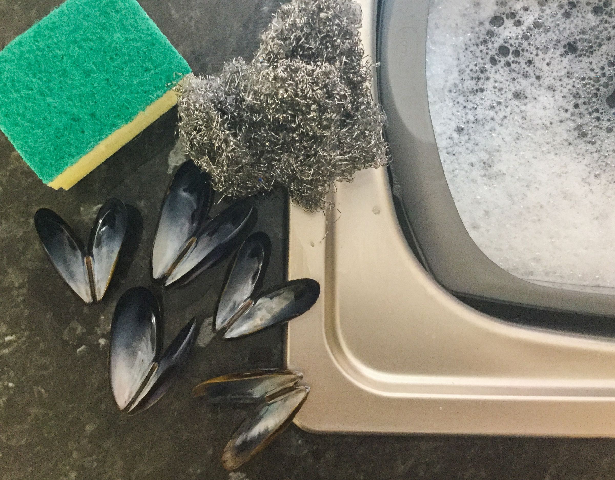 RECYCLE YOUR DINNER! Mussel Jewellery 7 Steps Instructables