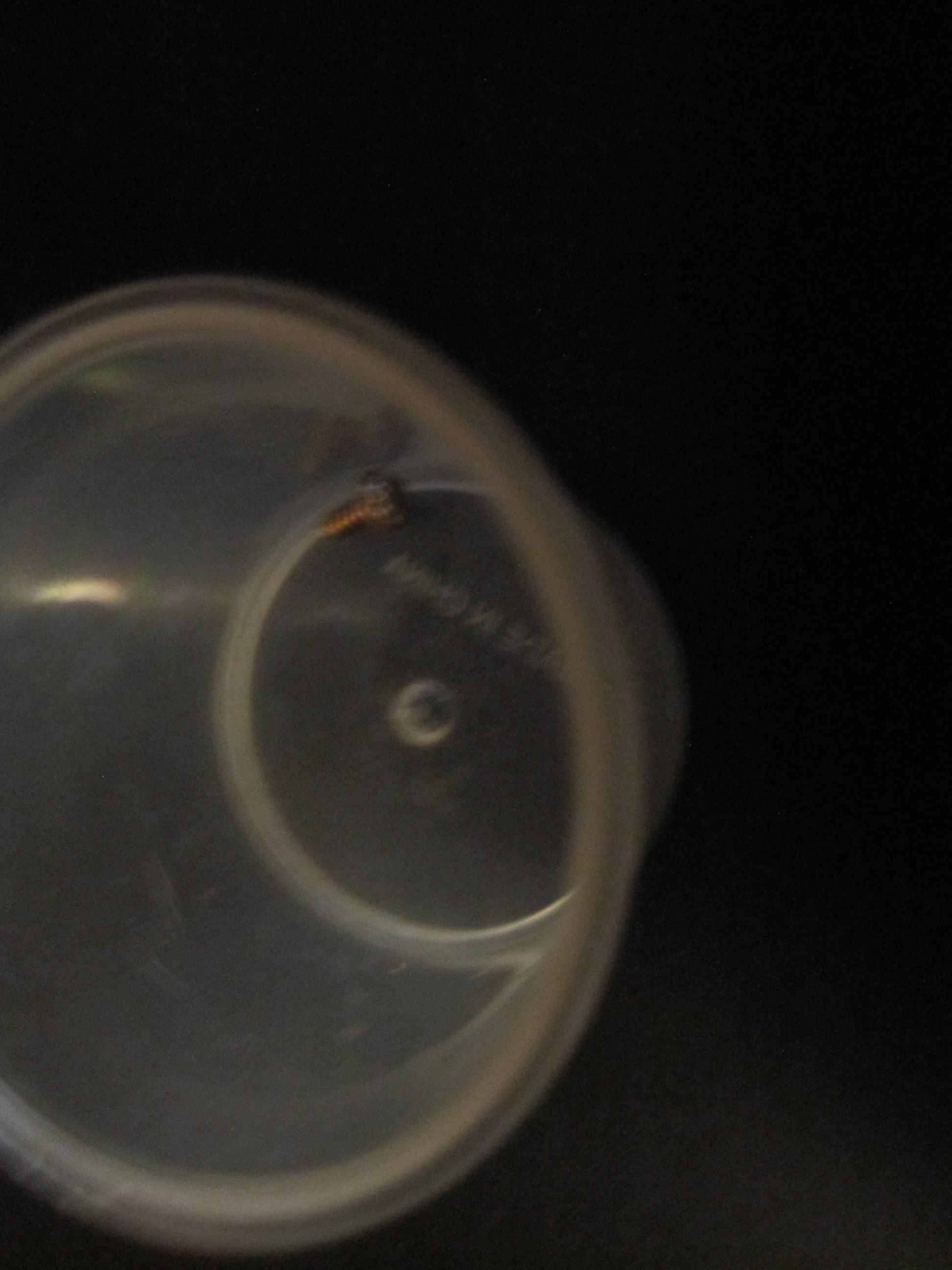 How to Clean a Gameboy Game 2022 5 Steps Instructables