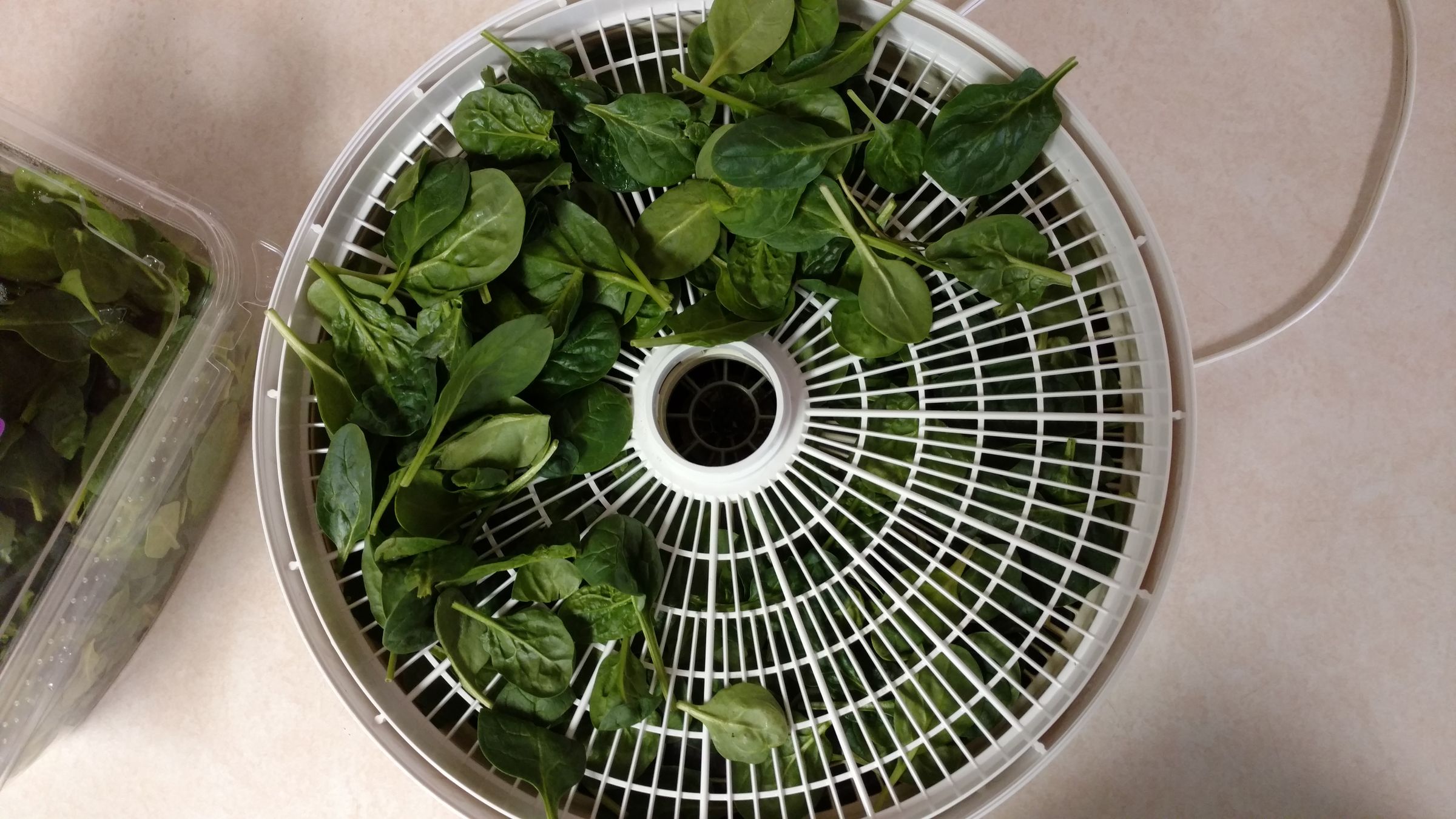 Dehydrating Organic Spinach Fast 13 Steps (with Pictures) Instructables