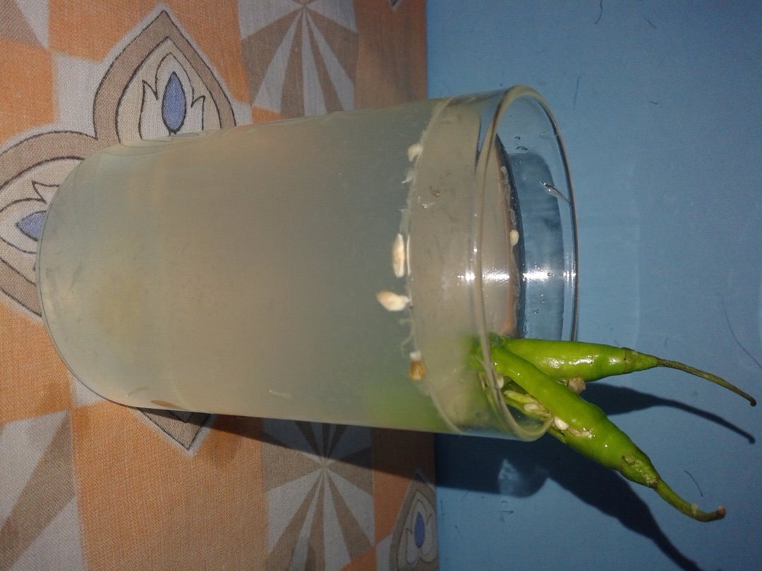 Green Chilli Lemon Juice 3 Steps Instructables