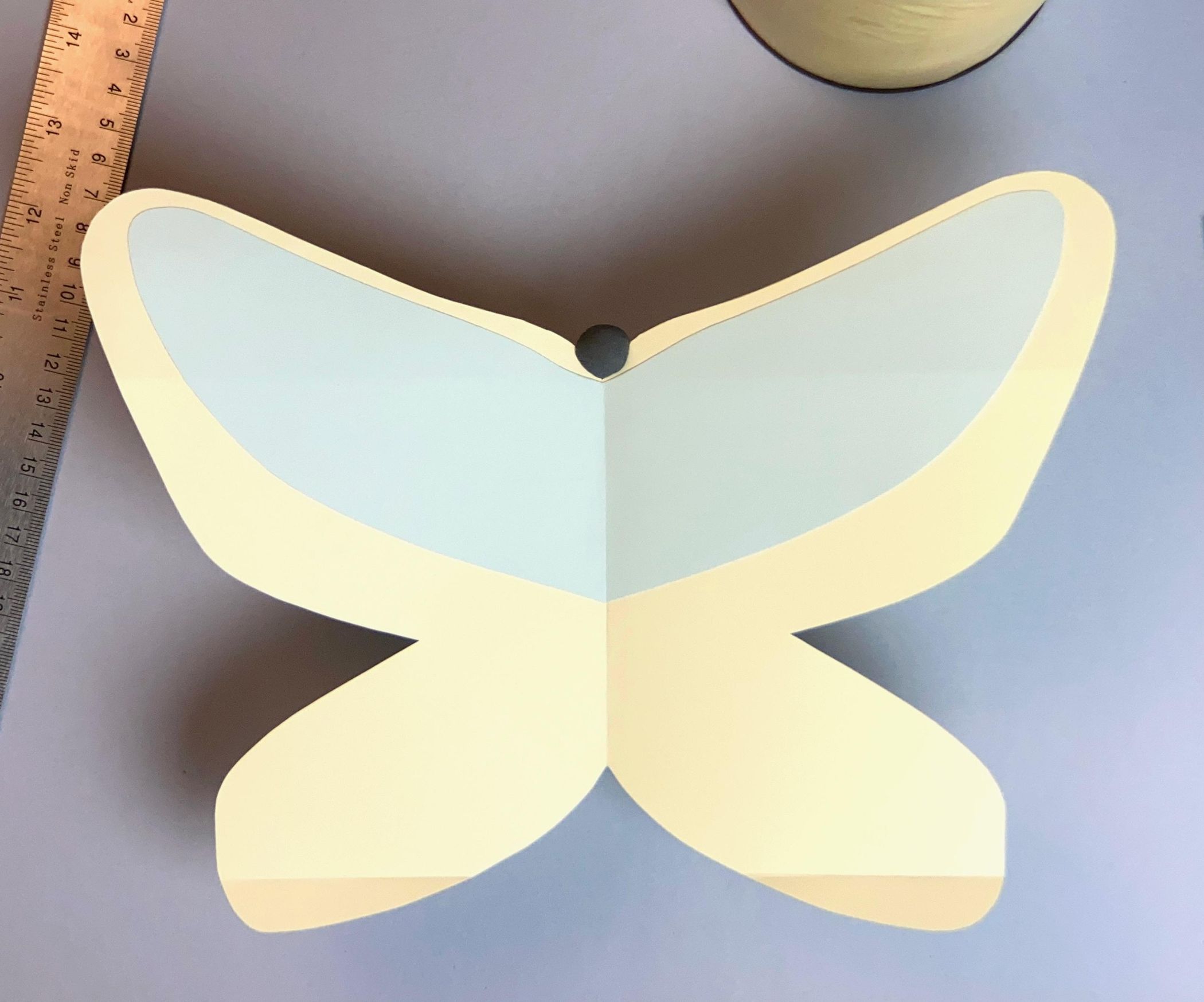 Butterfly Glider / Planeador Mariposa 6 Steps (with Pictures