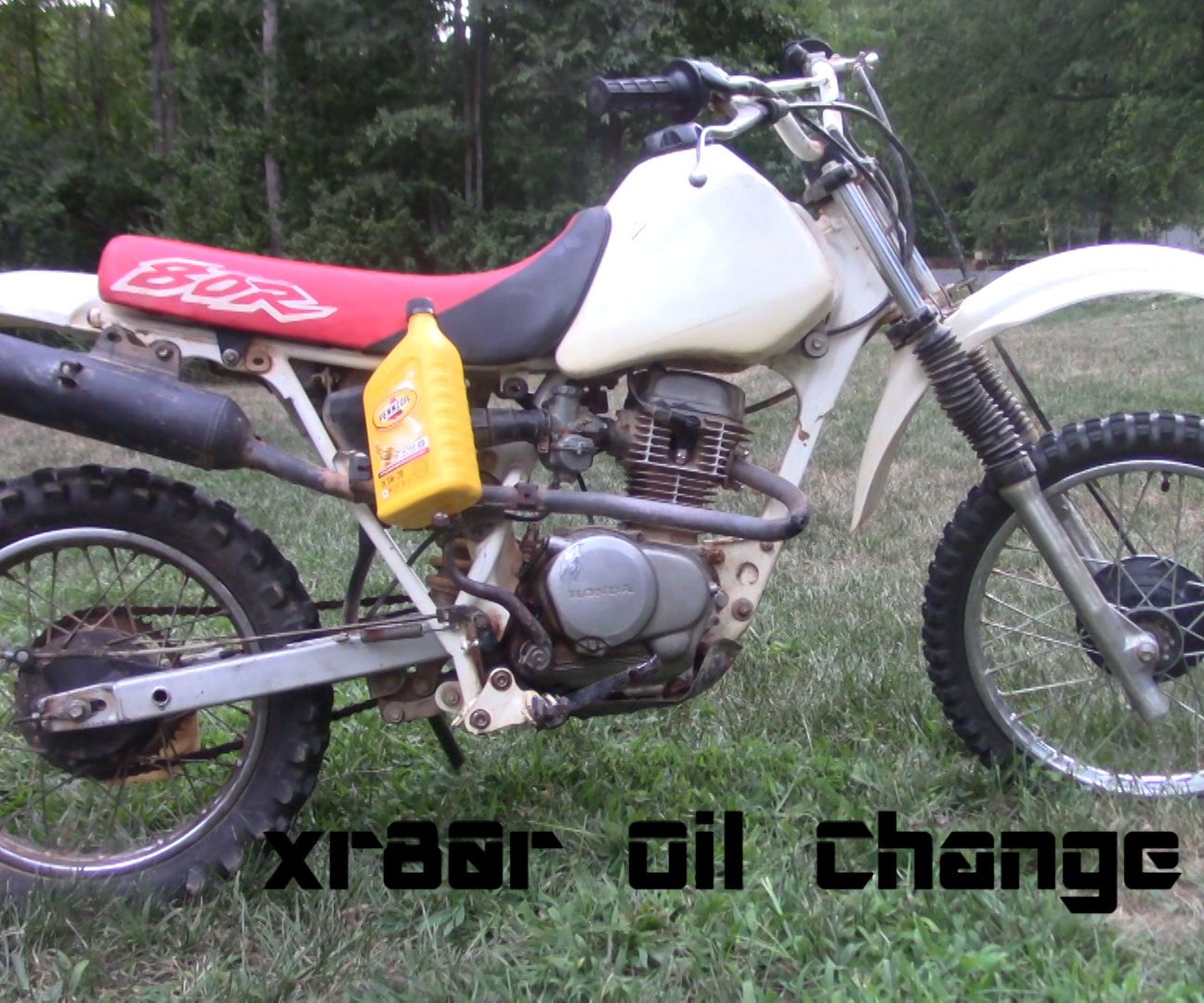 XR80 Oil Change