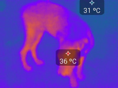 Taking Care of Your Imager and Being a Proud Owner.