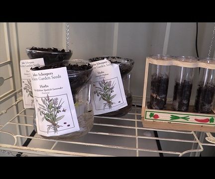 Wickpot From Plastic Bottle