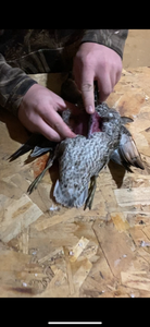 Find the Breast Bone and Cut Along Both Sides of It.